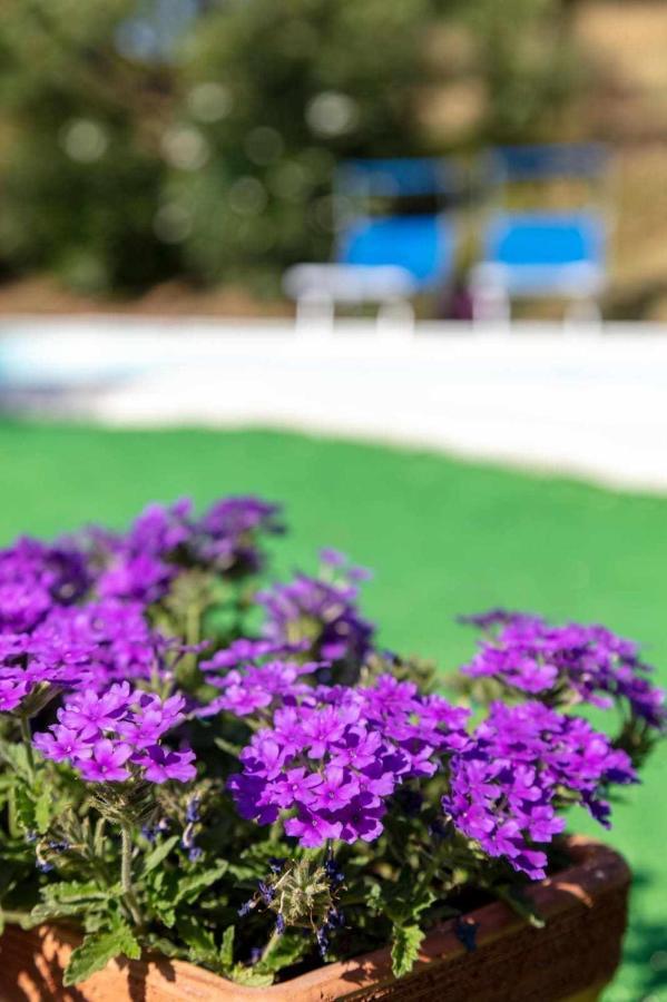 אנקונה La Meriggia Senigallia Agriturismo מראה חיצוני תמונה